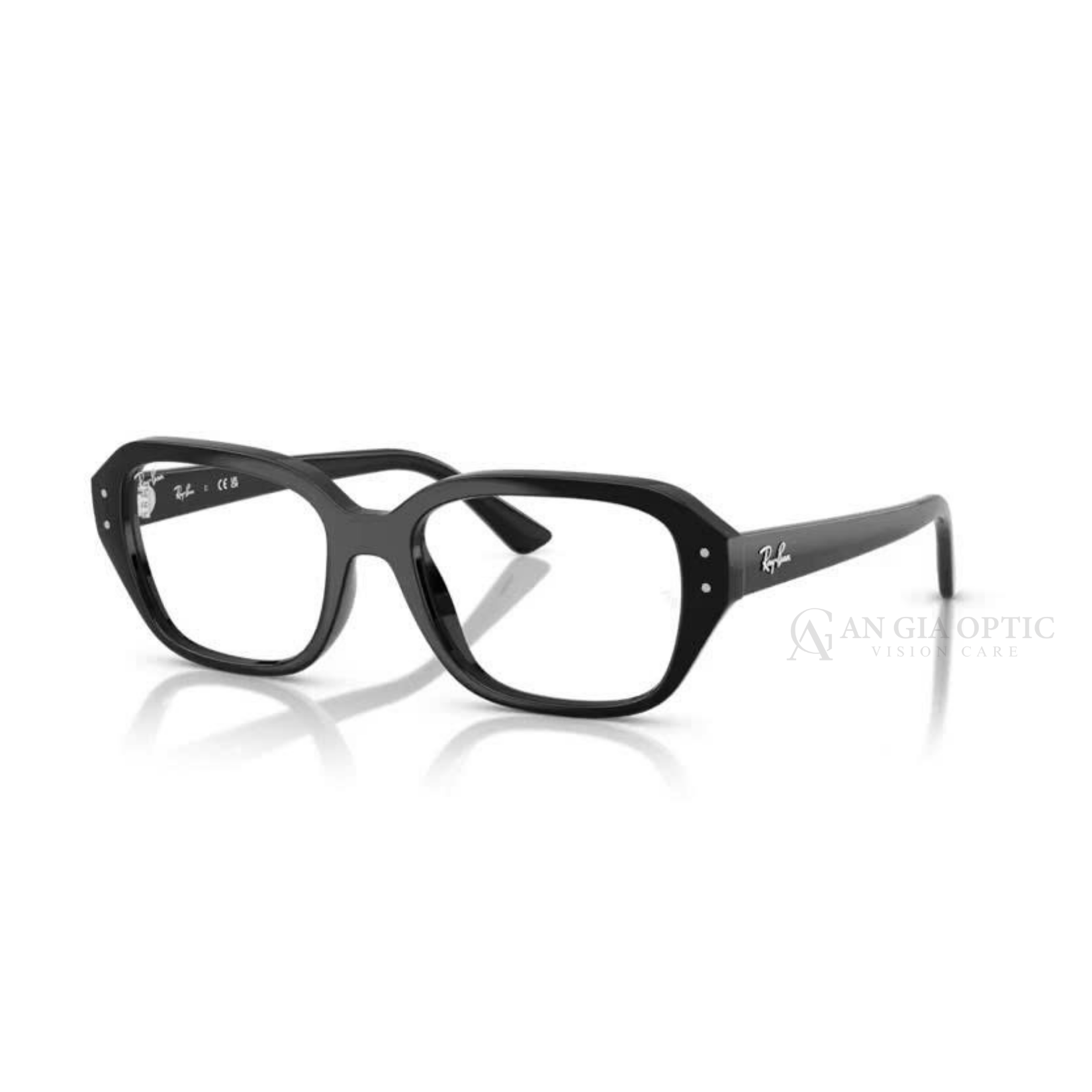 Kính gọng Rayban 0RX7258F_8260_51 Black